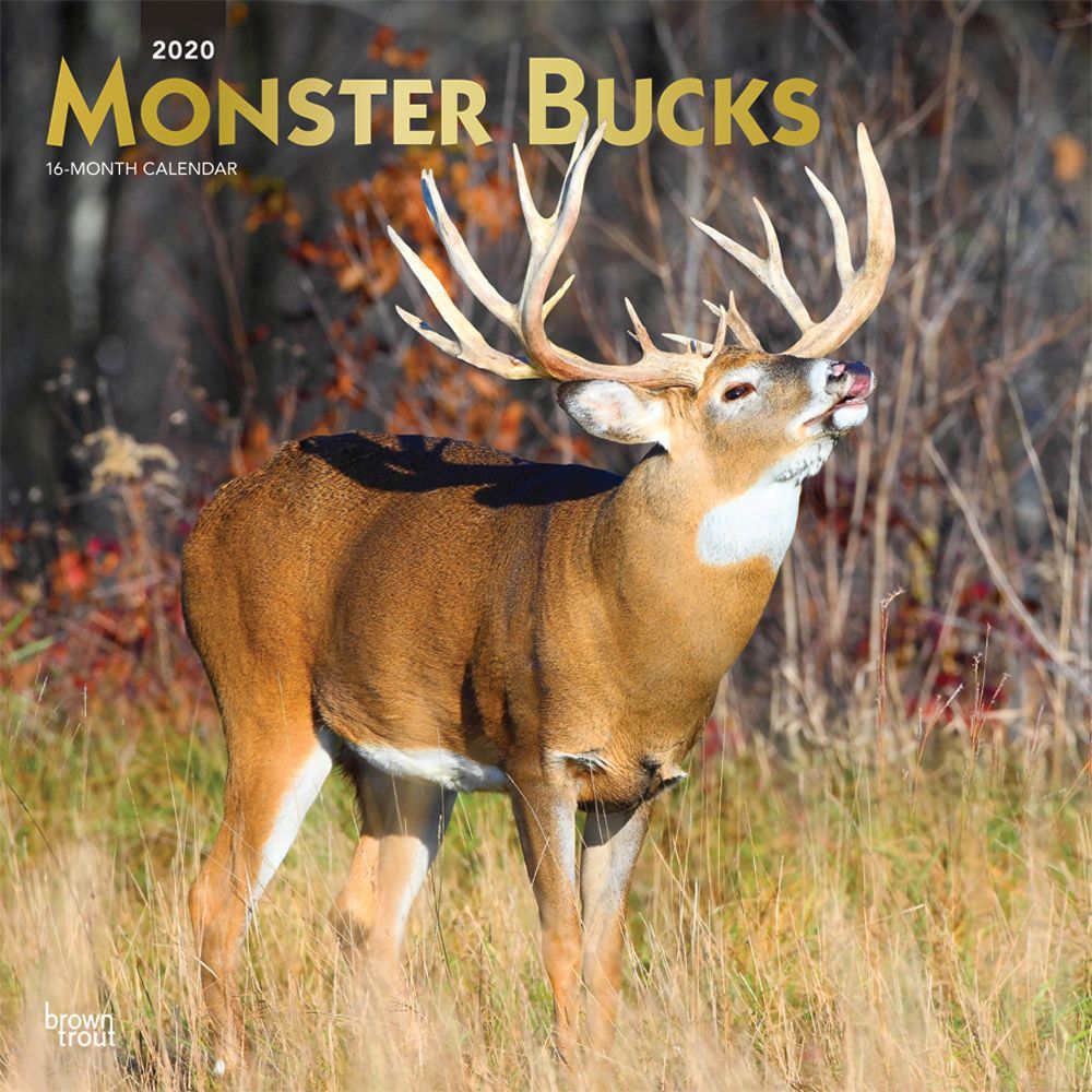 Monster Bucks 2020 12 x 12 Inch Monthly Square Wall Calendar with Foil Stamped Cover, Wildlife Animals Hunting